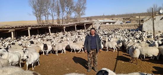  张旭和在放牧点上等待转场回家的羊群。